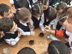 День гимназии