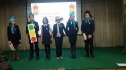 ППД для 5 классов 2017г