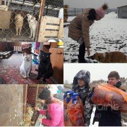 Казахстан территория доброты