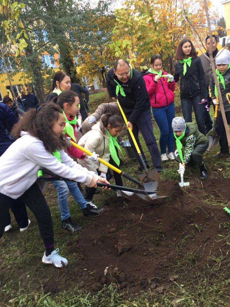 Озеленение нашей Гимназии №21 с Акимом Бостандыкского района